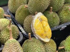 -Ah Hung D24 Sultan Durian