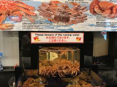 -蟹道乐(道顿堀本店)