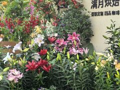 -满月蛋糕定制·商务茶歇·diy课程(万达广场店)