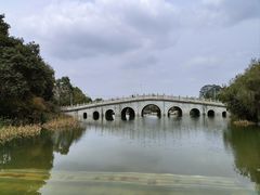 -水濂山森林公园