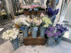 -优衣库(银座店)