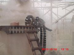 -石家庄市动物园