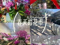 -双季花艺园艺市场(浦东店)