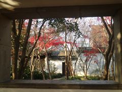 -秋霞圃