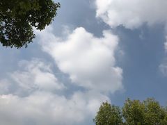 -胜华驾校·小猫学车(银都店)