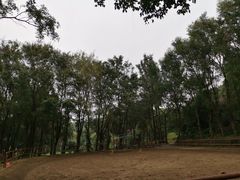 -马咖啡macup·意式轻餐·观景餐厅