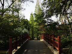 -上海滨江森林公园