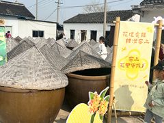 -苏州市吴中区光福窑上花果蜜饯厂