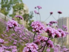 -石井坡(地铁站)