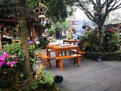 -青城甲(青城山店)