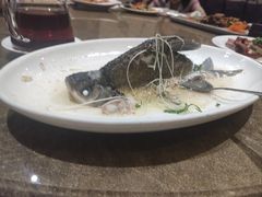 -四海酒家生态粤菜