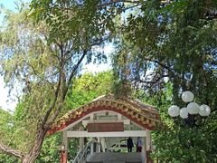 -荔枝公园(福田区)