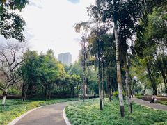 -重庆彩云湖湿地公园