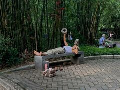 -晓港公园