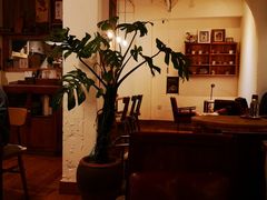-懒鱼时光馆(沙坪坝店)