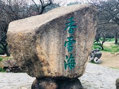 -香雪海