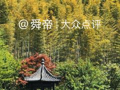 -紫藤园·天目湖大鱼头(南山竹海店)