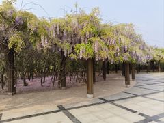 -临沂动植物园