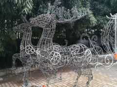 -呀路古热带植物园