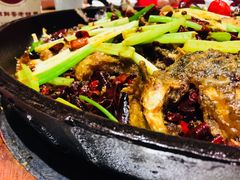 -老板恋上鱼(恒隆广场店)