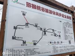 -大岭沟猕猴桃谷风景区