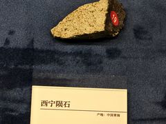 -国家自然博物馆