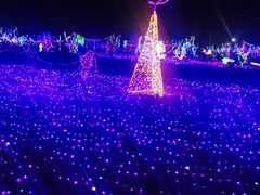 -咖啡之翼·咖餐厅(武清店)