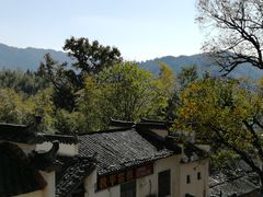 -塔川景区