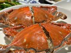 -杨记海鲜楼(三门黑金冠店)