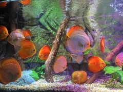 -上海海洋水族馆