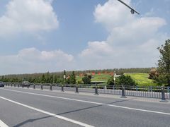 -合肥滨湖国家森林公园