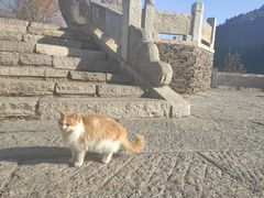 -卧龙堡客栈·中餐厅(古北水镇店)