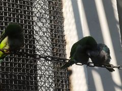 -合肥野生动物园