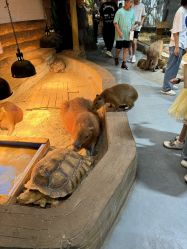 -Zoolung Zoolung动物主题公园(海信广场店)