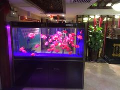 -重庆家富富侨养生会所全省示范店(东五路店)
