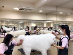 -多卡布奇宠物生活馆(上林世家店)