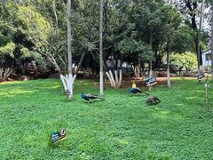 -昆明动物园
