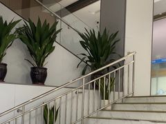 -美可普口腔医院(东街分店)