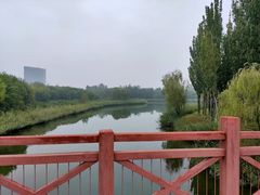 -大兴滨河森林公园