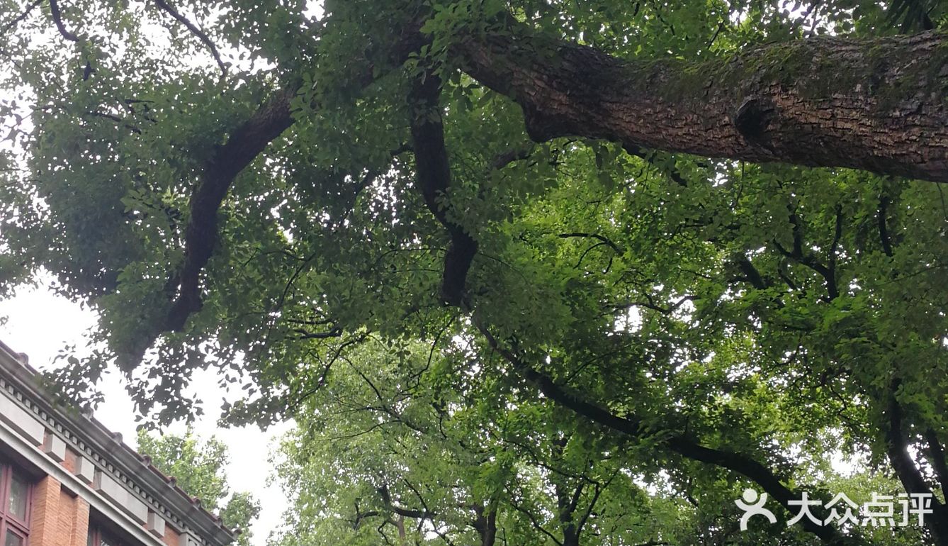 浙江大学 之江校区