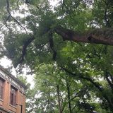 浙江大学 之江校区