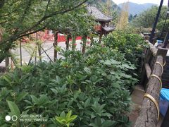 -楠柏弯休闲山庄(梨花溪店)