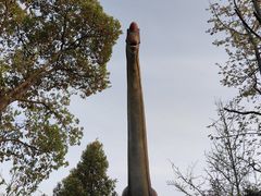 -顾村公园