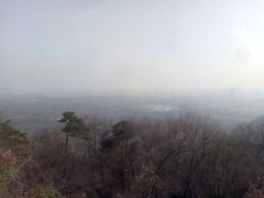 -紫金山山顶公园