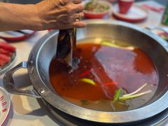 -蜀滋香鲜鱼美蛙火锅(339店)