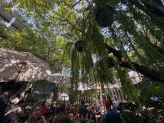 -Fern Forest Cafe