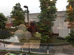-麦当劳(国际社区店)