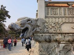 -北陵公园