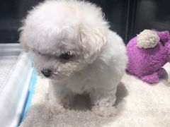 -宠物世家(仲盛世界商城店)