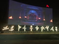 -枫花园汽车电影院(朝阳公园店)